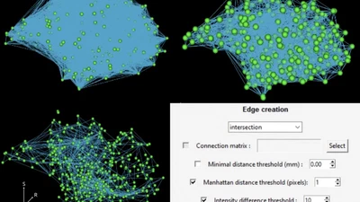 3DBrainMiner: An open-source platform for modelling and visualizing the brain as graphs featured image