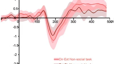 Social decisions affect neural activity to perceived dynamic gaze featured image