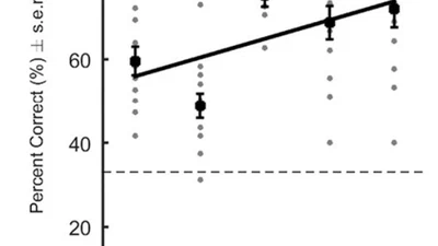 Familiarity and voice representation: From acoustic-based representation to voice averages featured image
