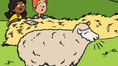 “BAA, BAA”: Can Sheep Talk to Each Other? featured image